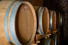 galerija-vinski-podrum-bazon-4